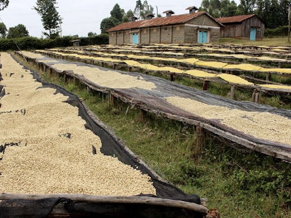 kenya-kevote1 2